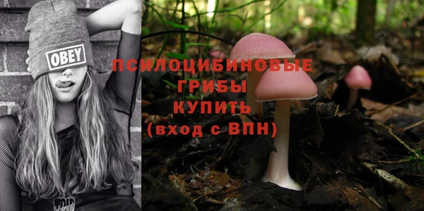 а пвп мука Липки
