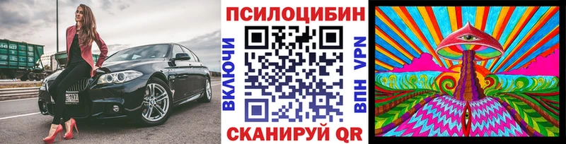 даркнет клад  Тутаев  Псилоцибиновые грибы мухоморы 