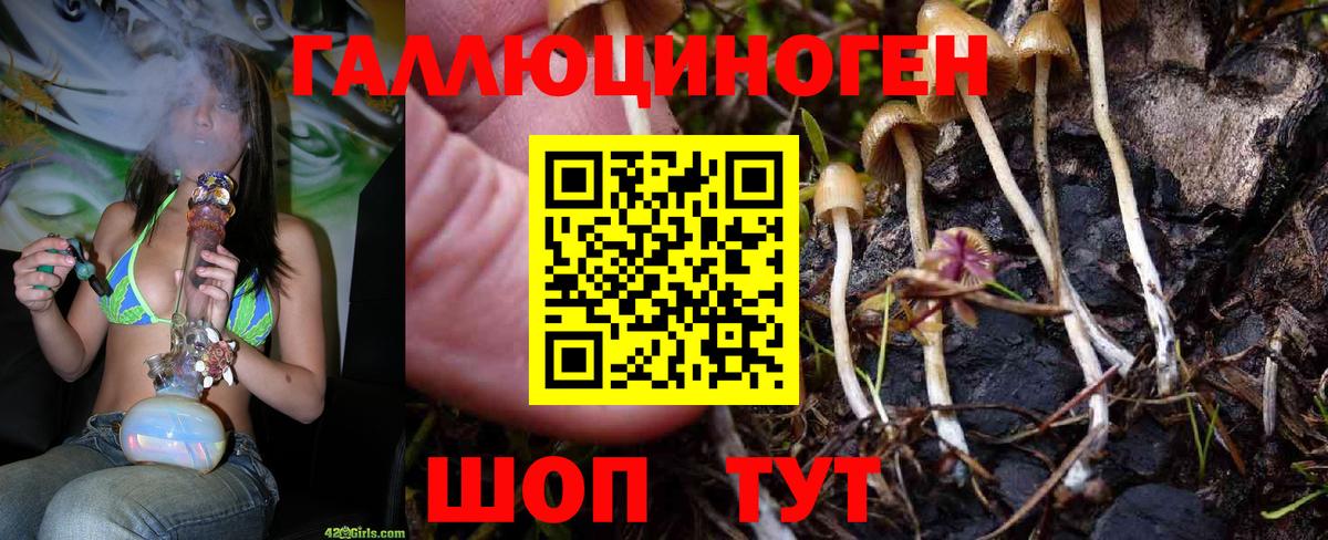 Галлюциногенные грибы MAGIC MUSHROOMS Тутаев