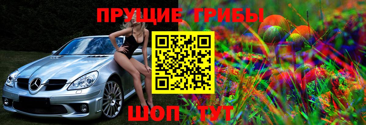 Псилоцибиновые грибы Cubensis  Галлюциногенные грибы прущие грибы  где продают наркотики  Тутаев 